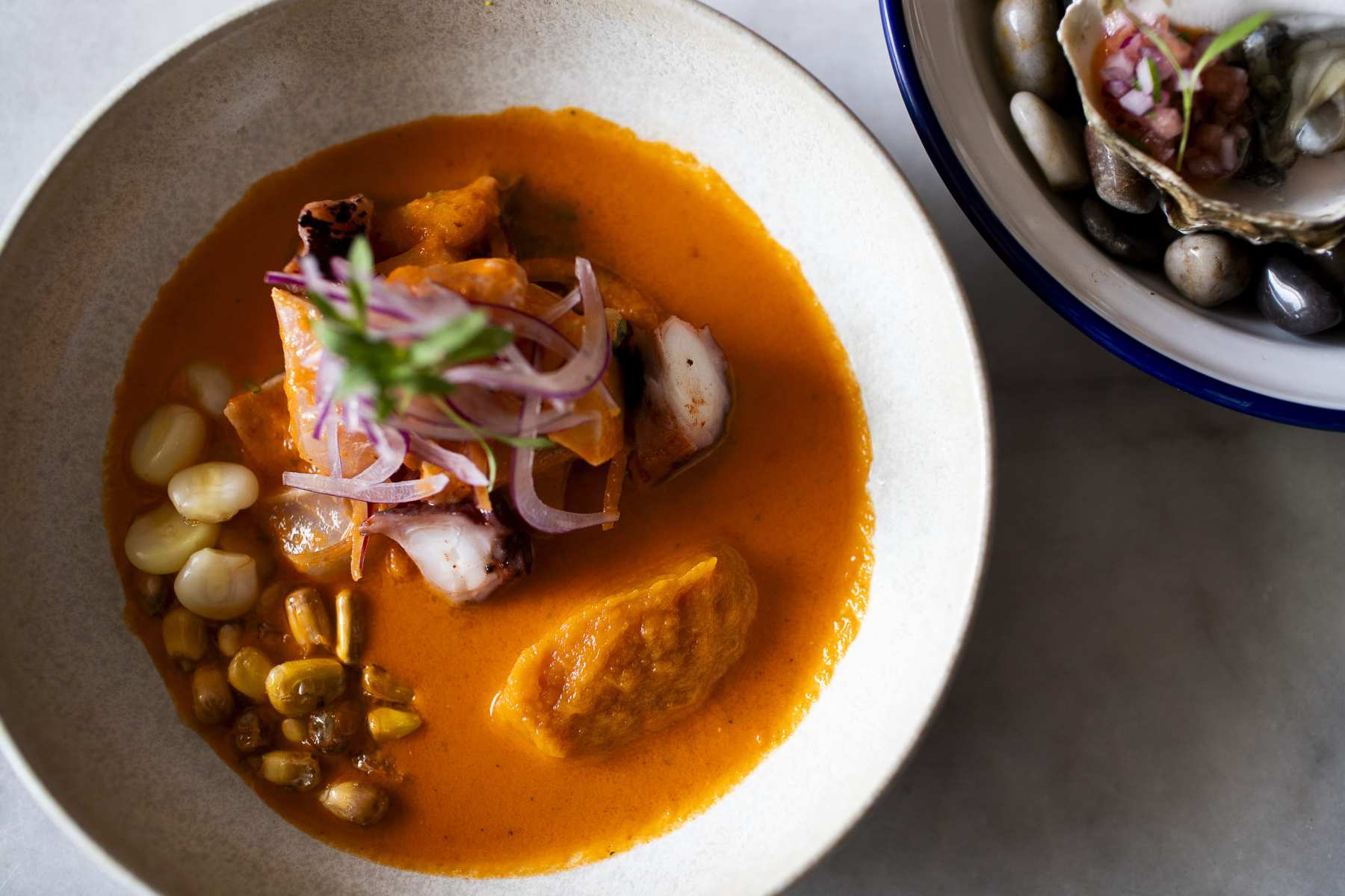 Ceviche at Moche, Peruvian restaurant in Amsterdam Oost